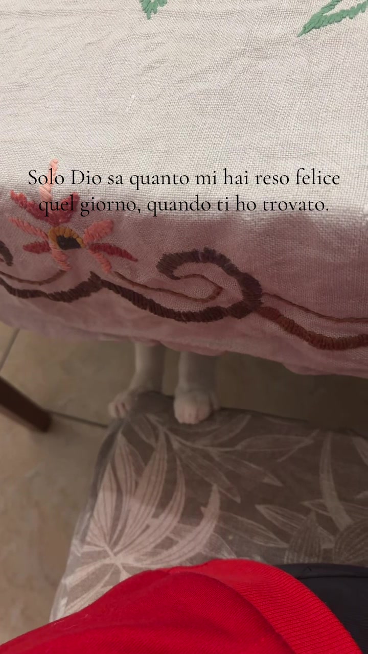 @__martinamaffei__