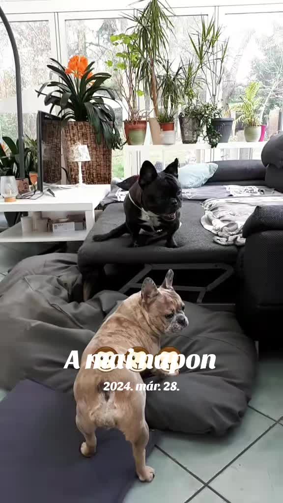 @Judit Katalin Pacz&aacute;r