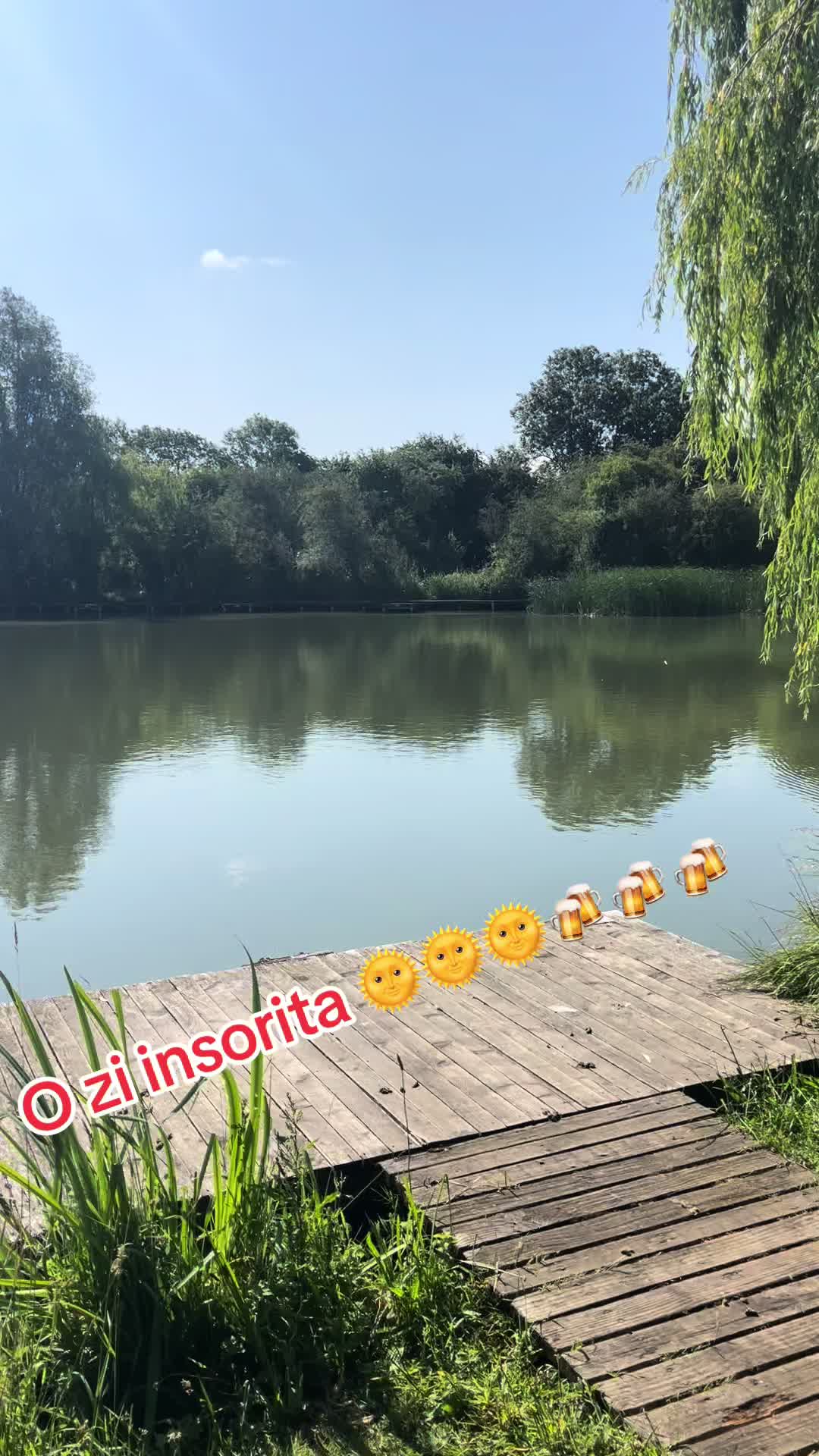 @Vasy268