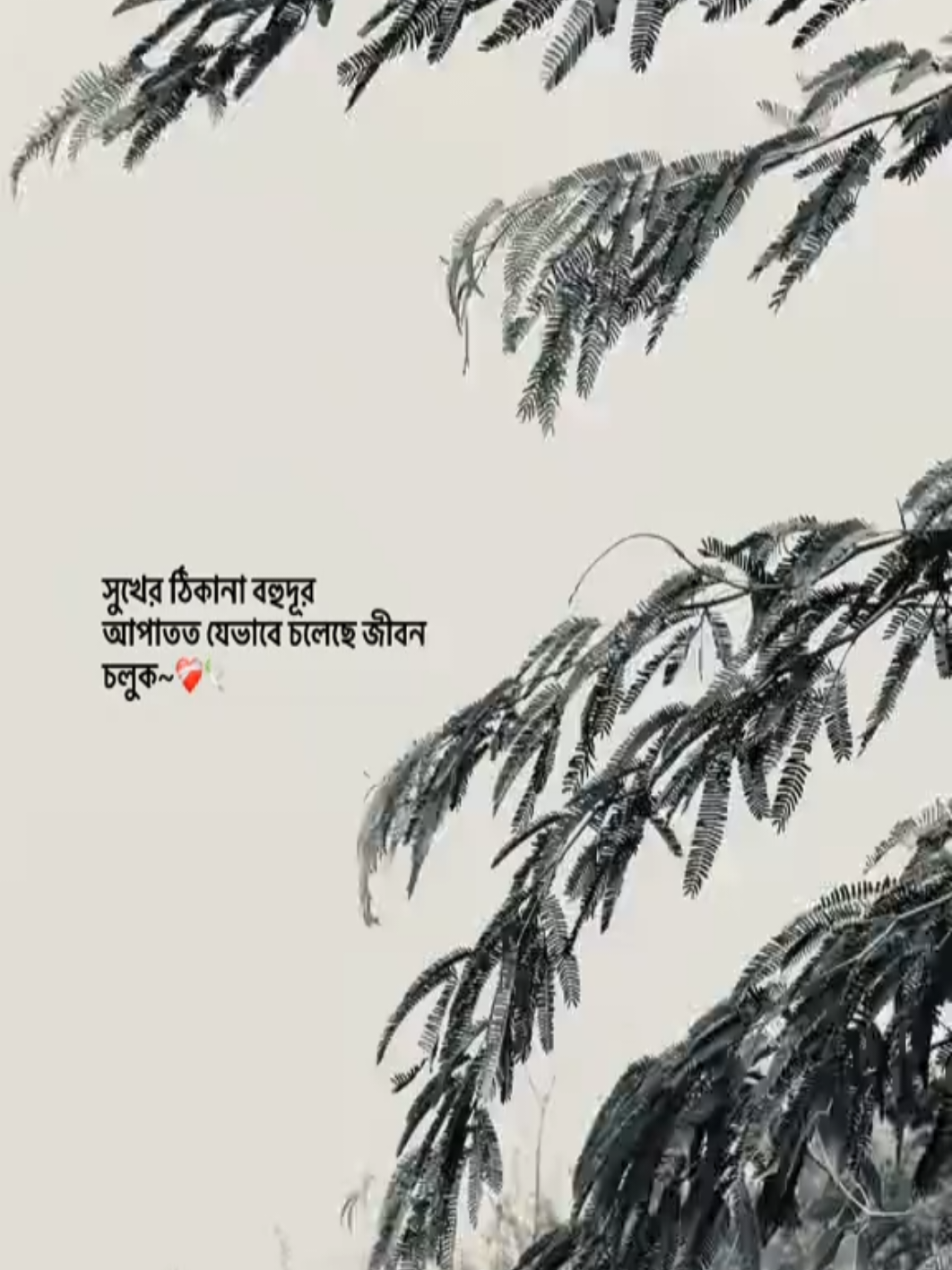 @sk.nasir