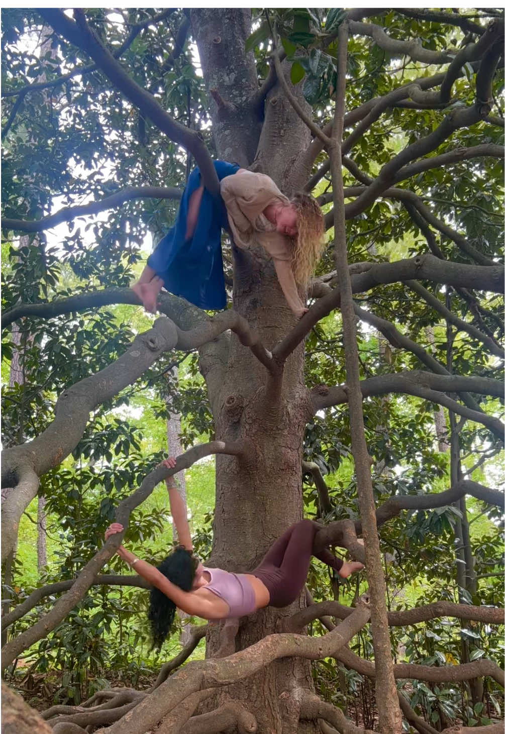 @yogi kenzie ⋆˚꩜。⋆₊⊹