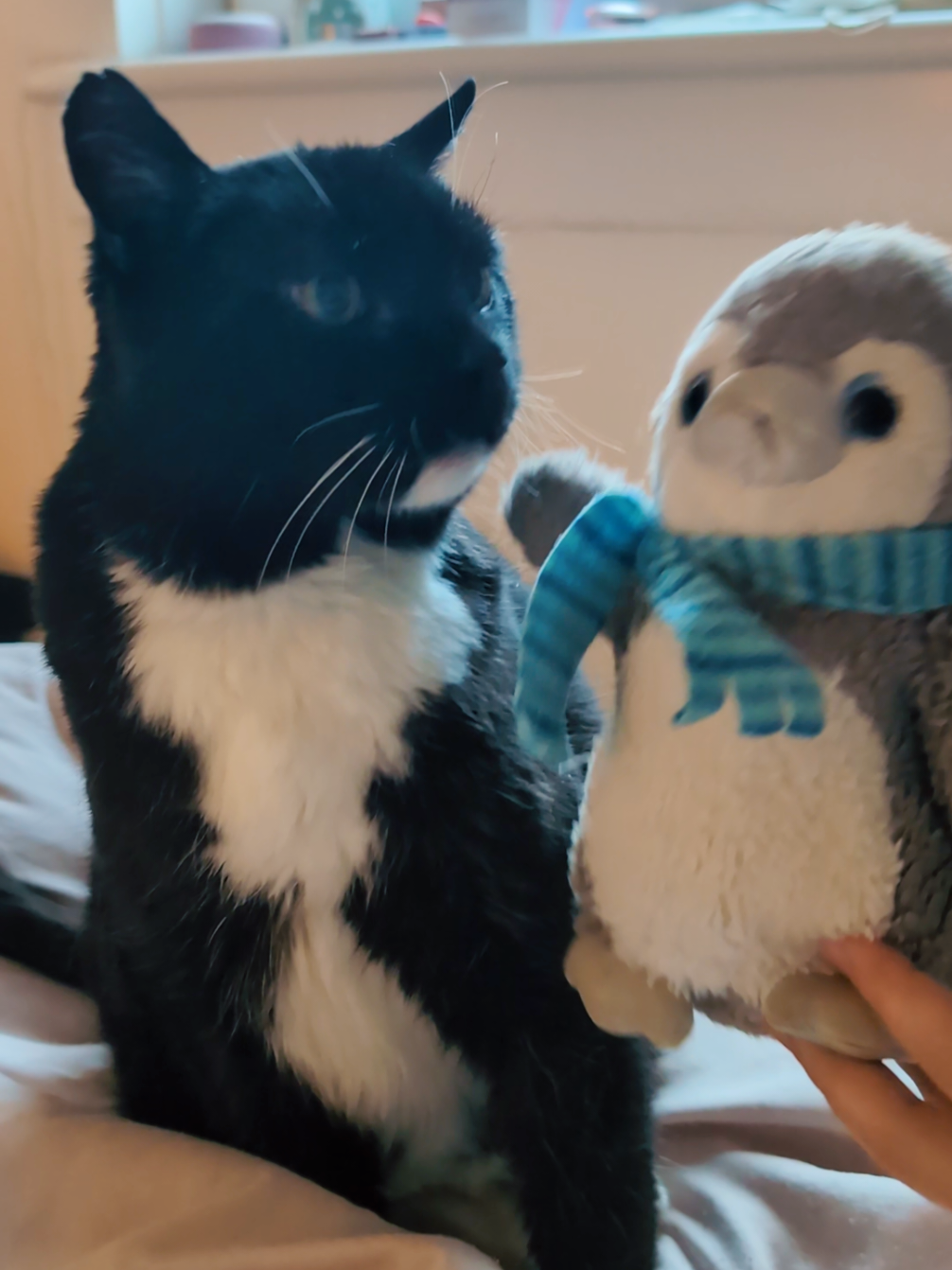 @Plushie Pete