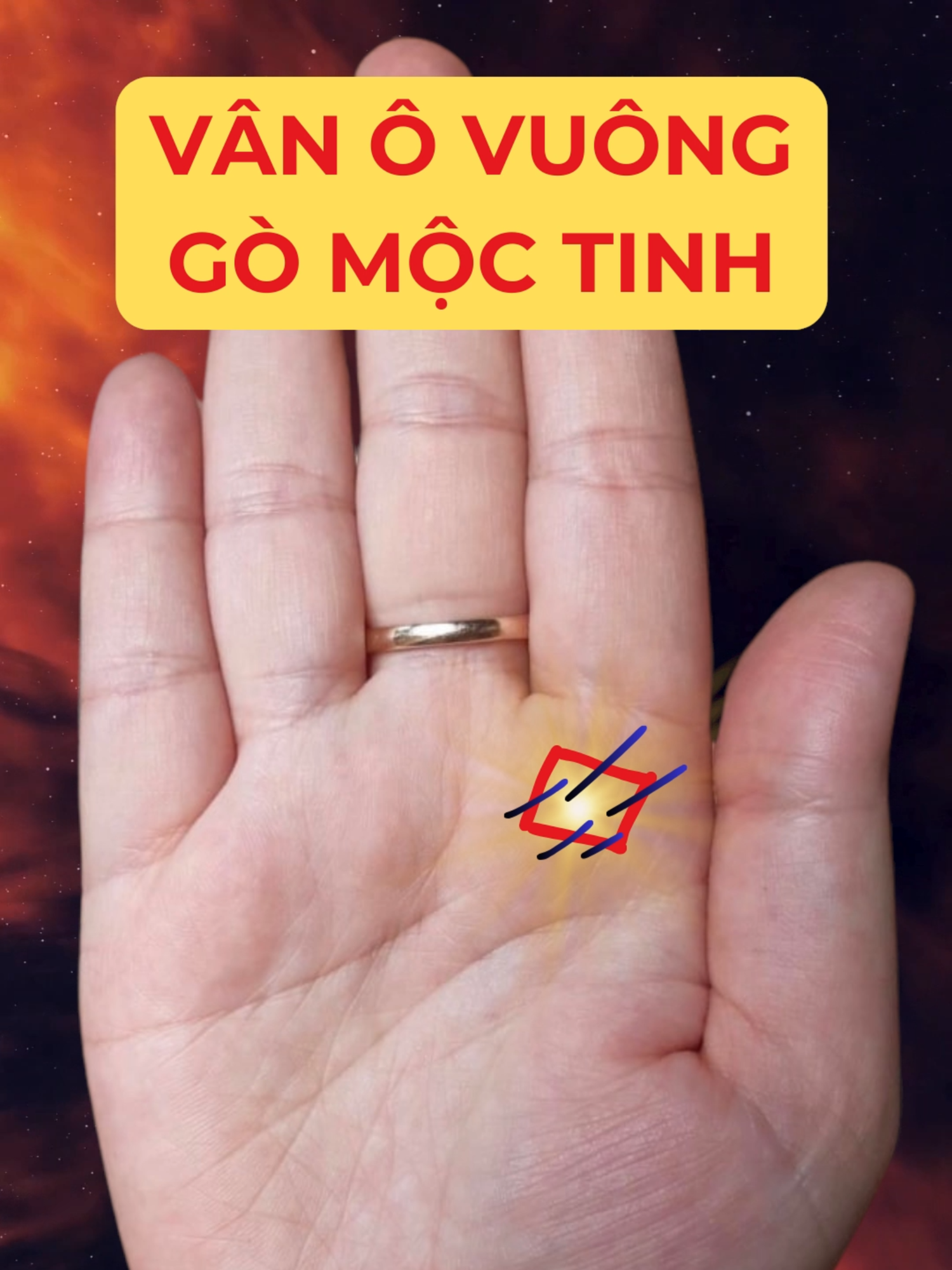 @Học Xem Chỉ Tay