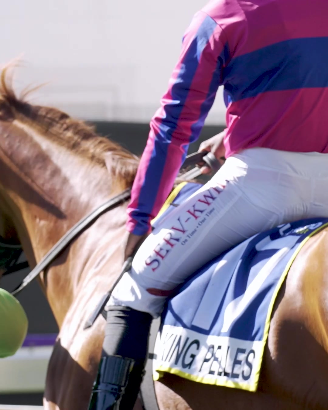 @Gallop TV