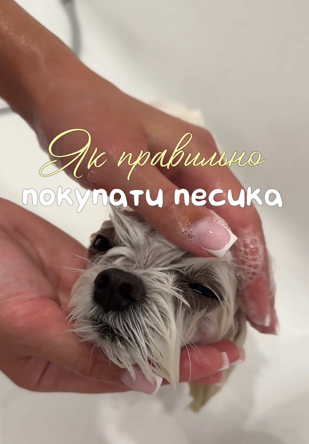 @I'm Eti 🐶🇺🇦