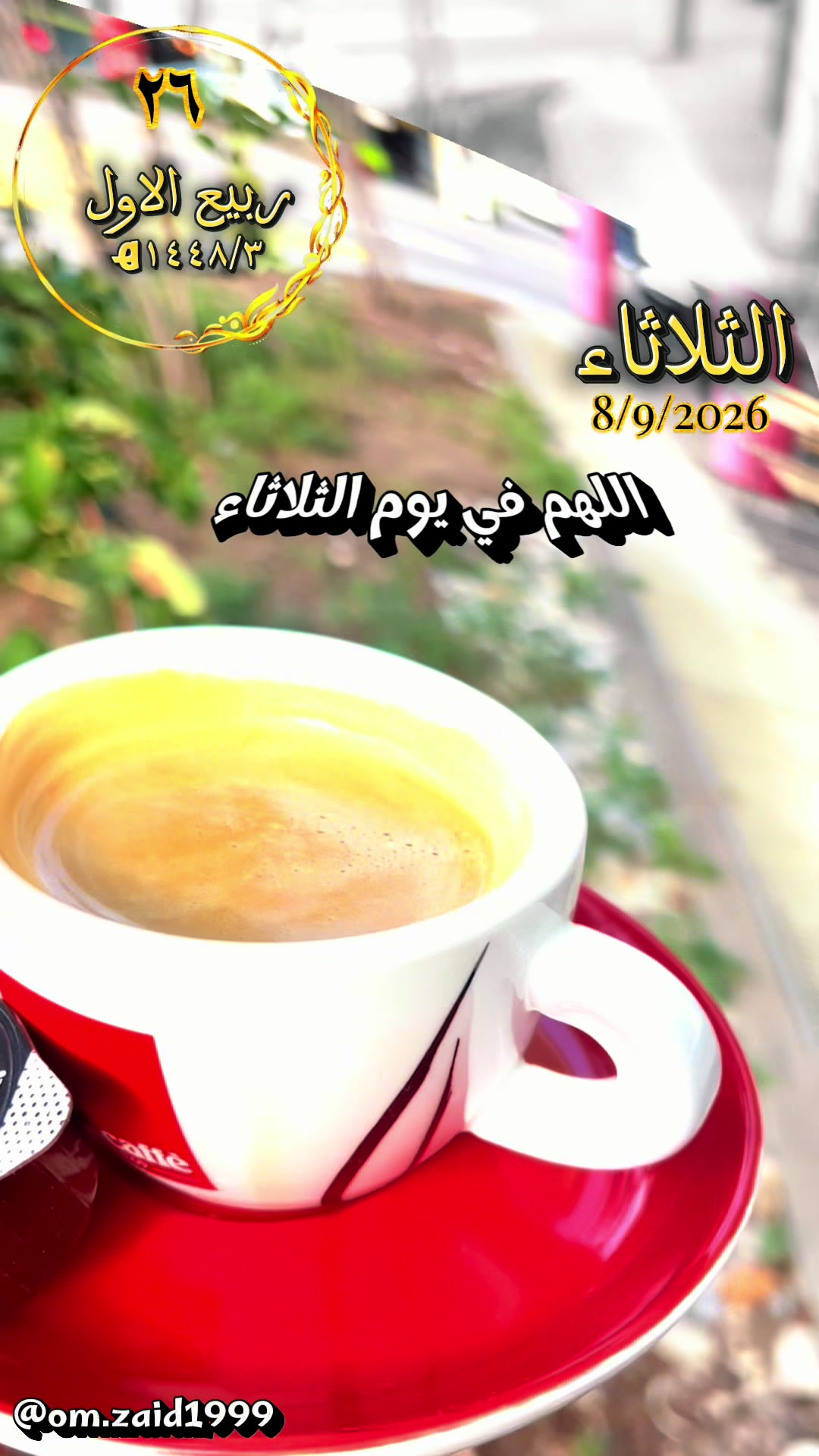 @Nahed Razouk