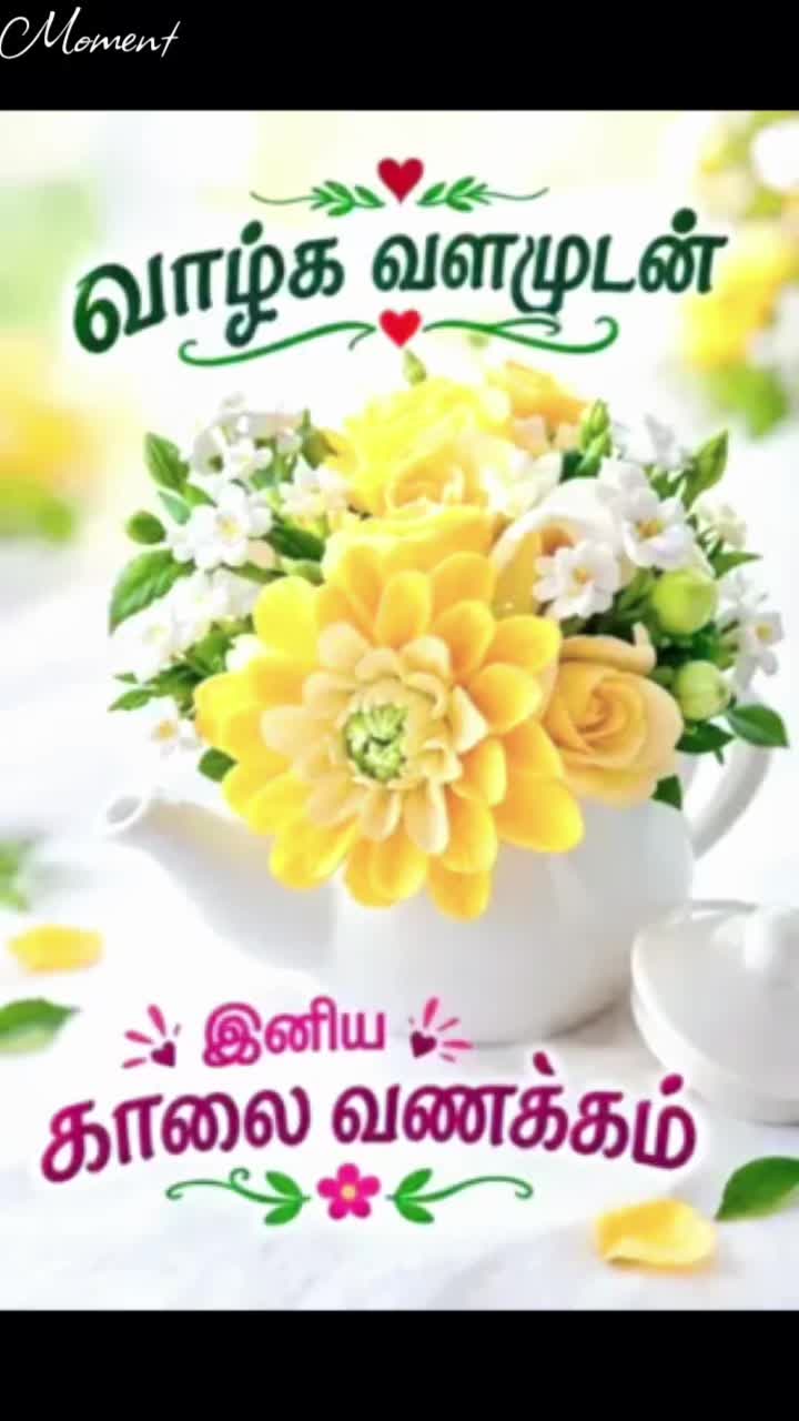 @Sai Meena