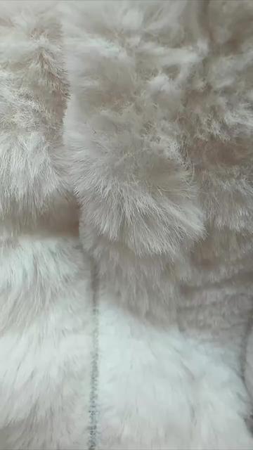 @Maltipoo Puppy Place
