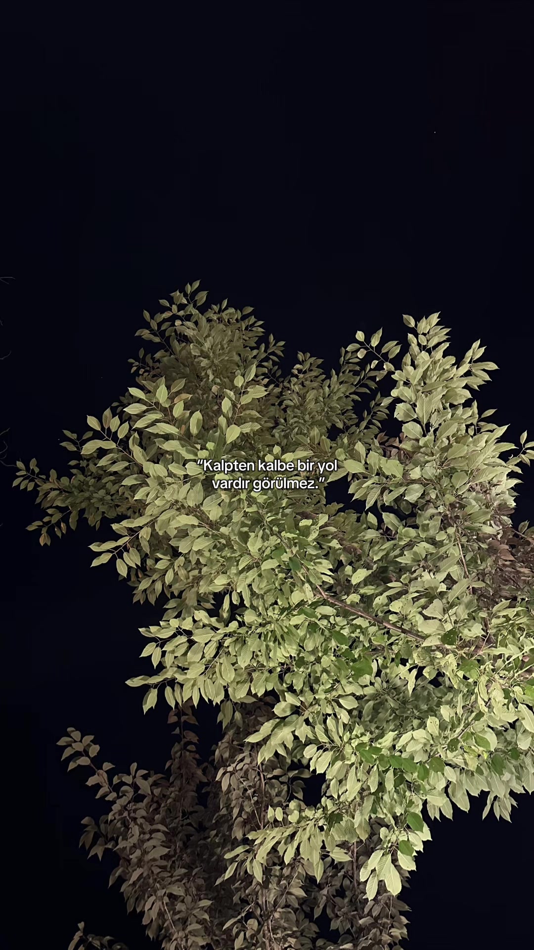 @𝓞.