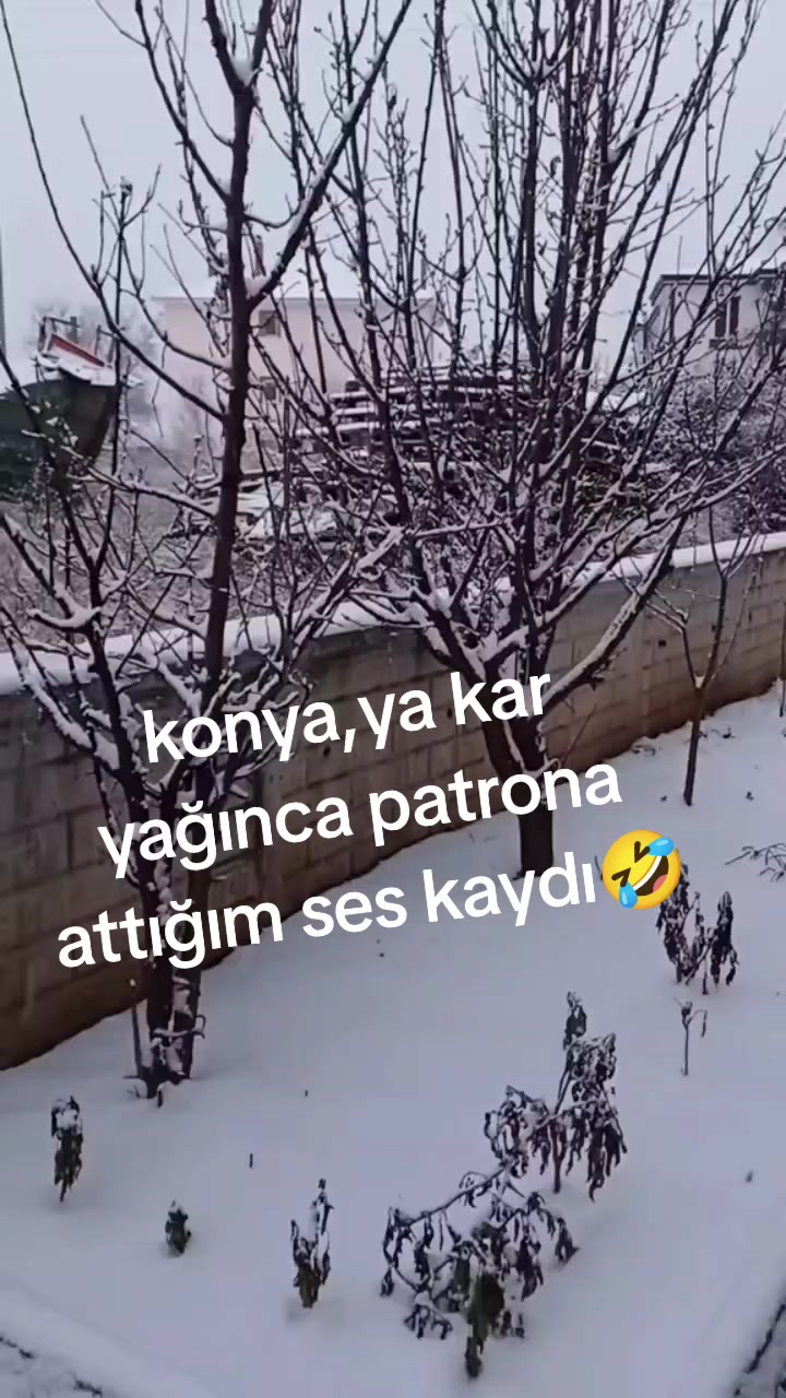@bahri kaya