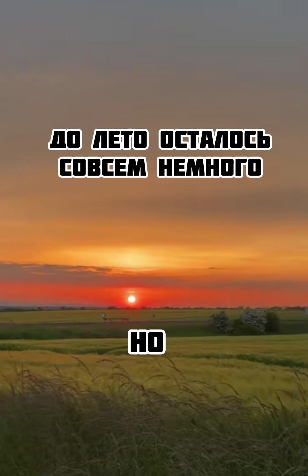 @Тгк:oge_cliv ответы огэ
