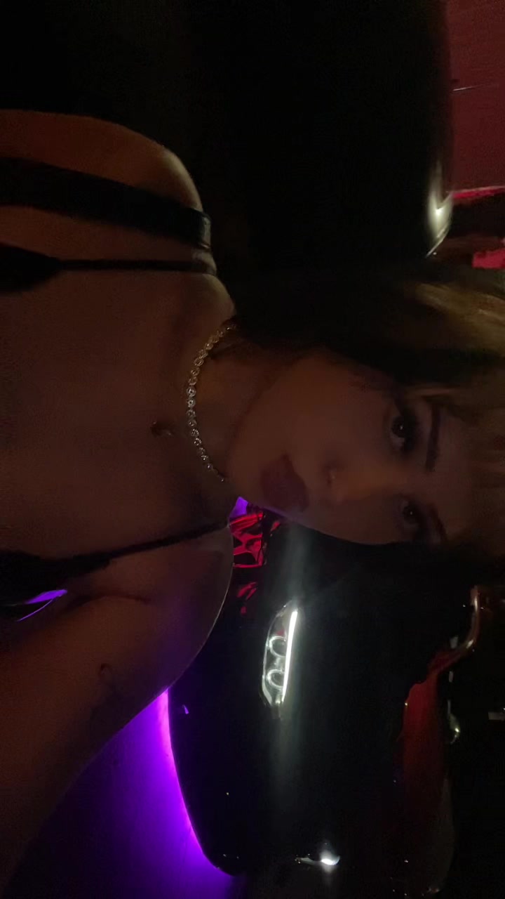 @Haley (=^w^=)