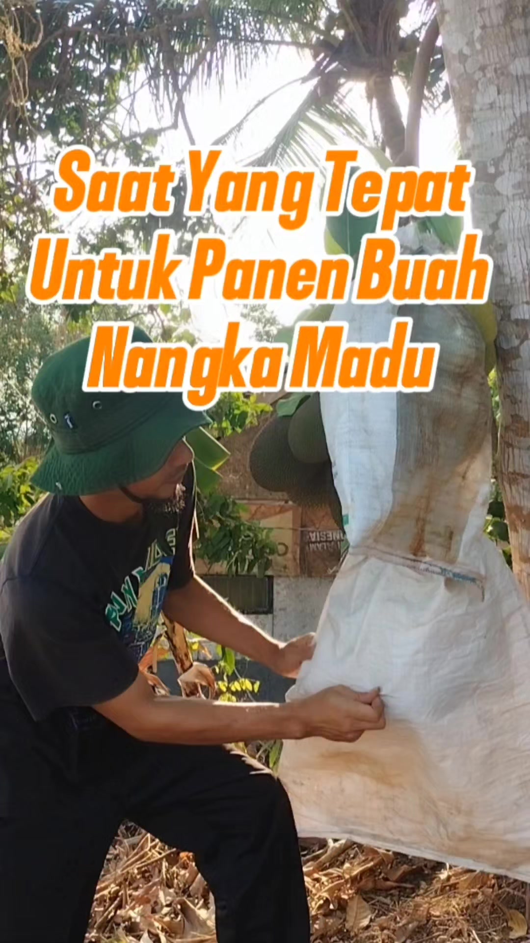 @Bukit Farming