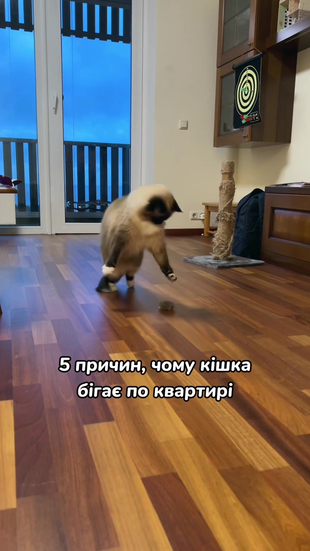 @Місс КІСЯ