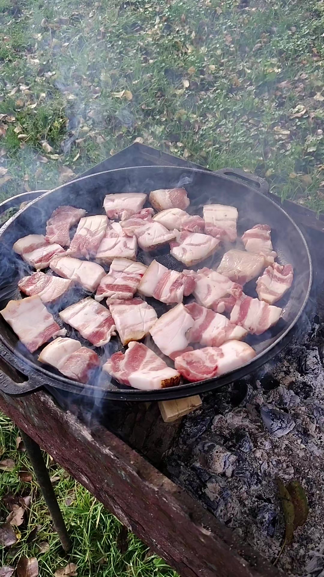 @Santehmaster
