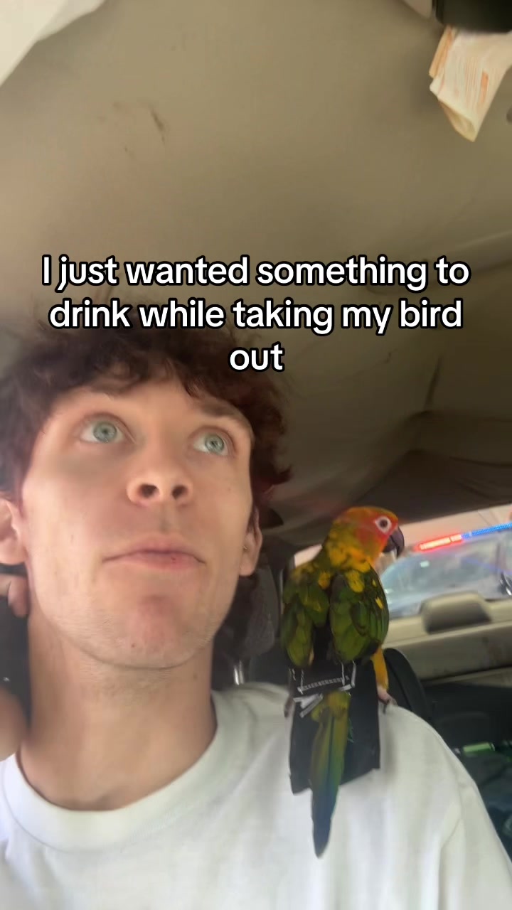 @Whiteboiwspraycheese
