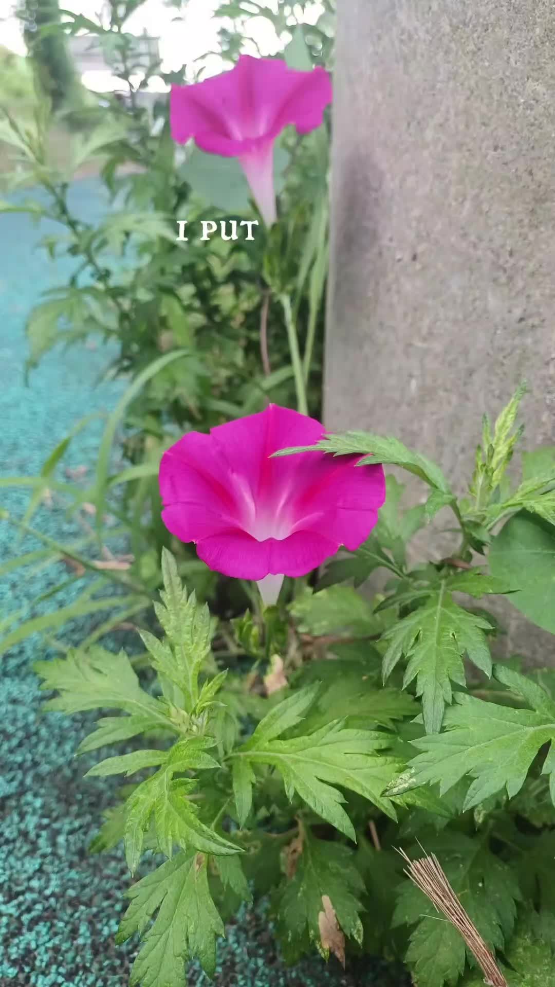 @🦋MamaBearShelley🦋