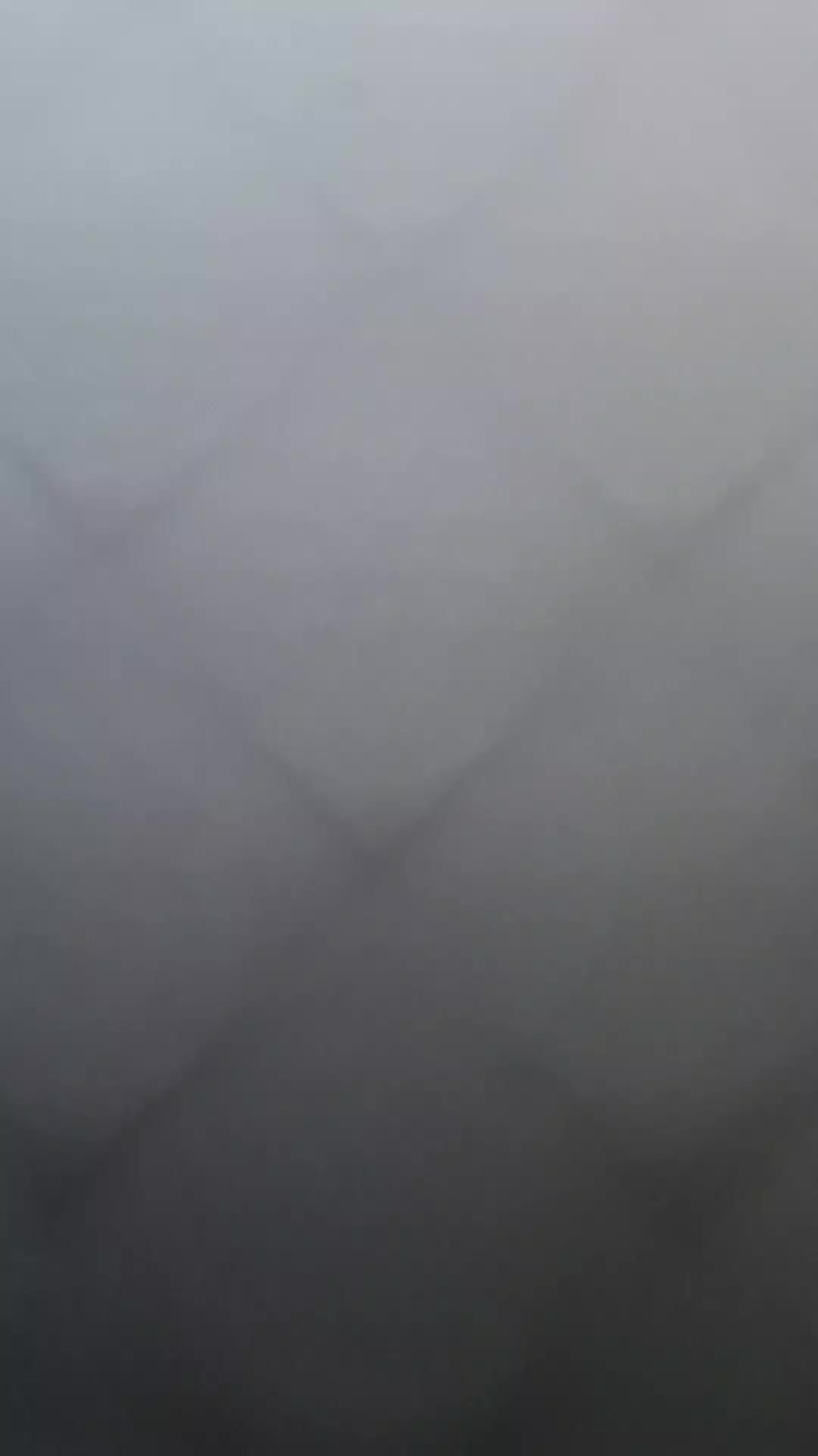 @profi2_real