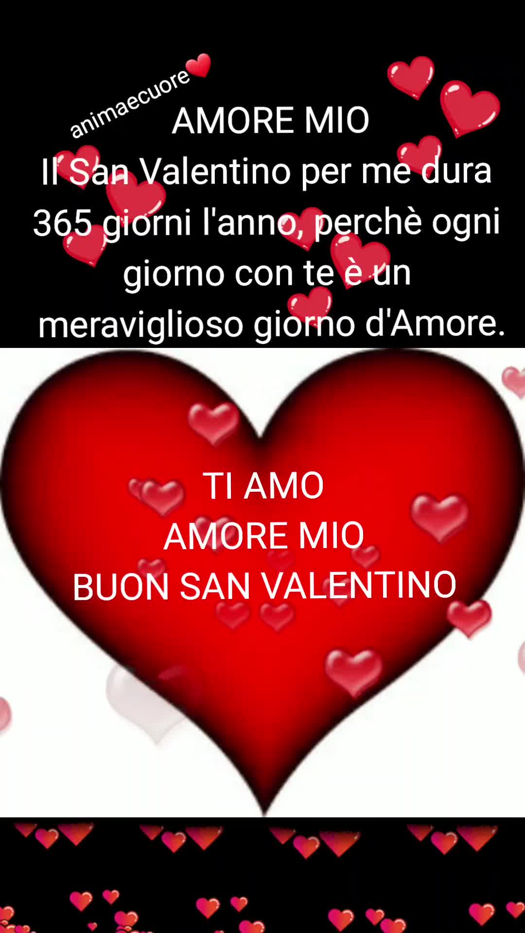 @animaecuore❤