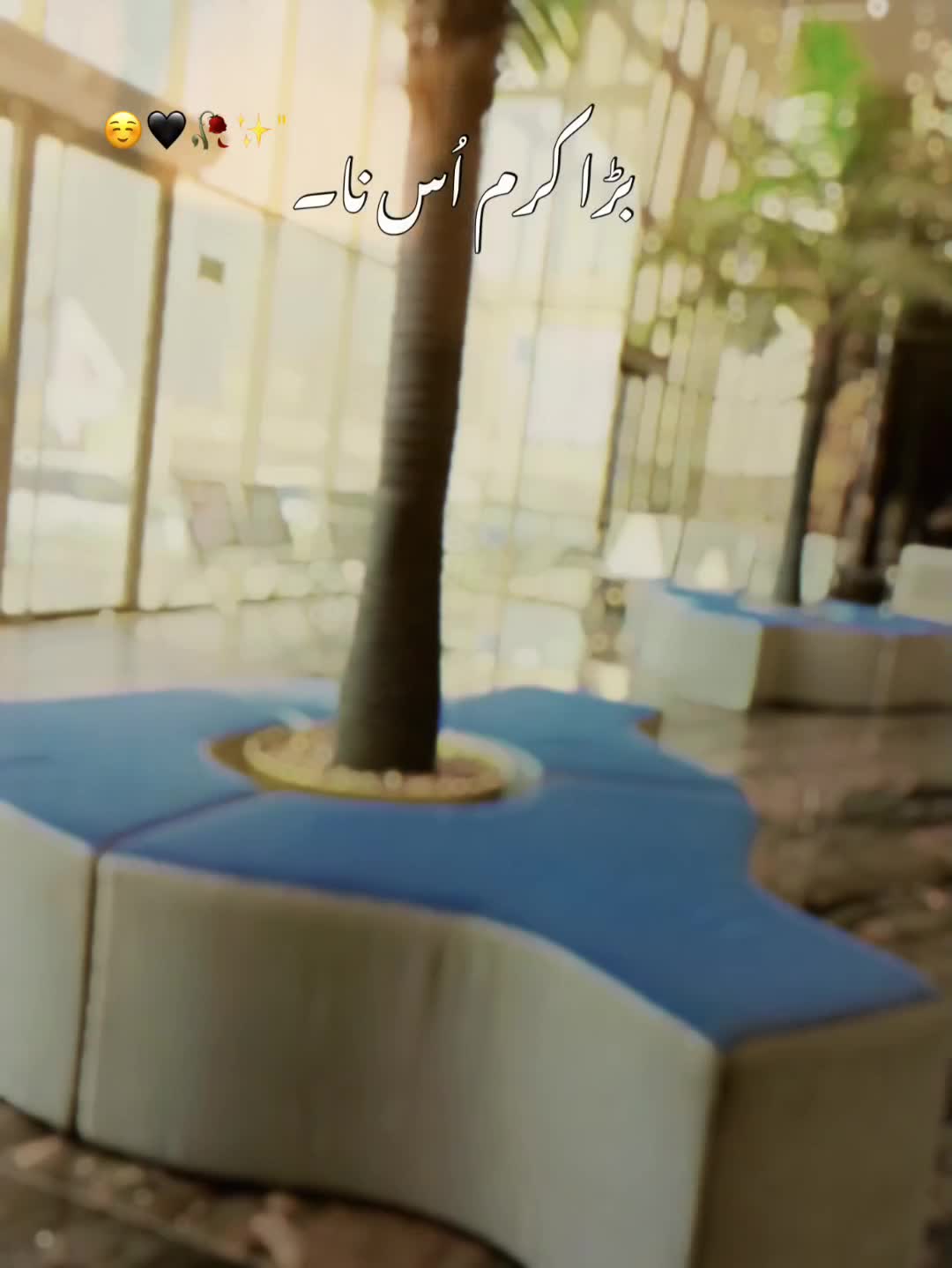 @🇸🇦꧁•٭𝙰a𝚜𝚊𝚍٭•꧂🇵🇰