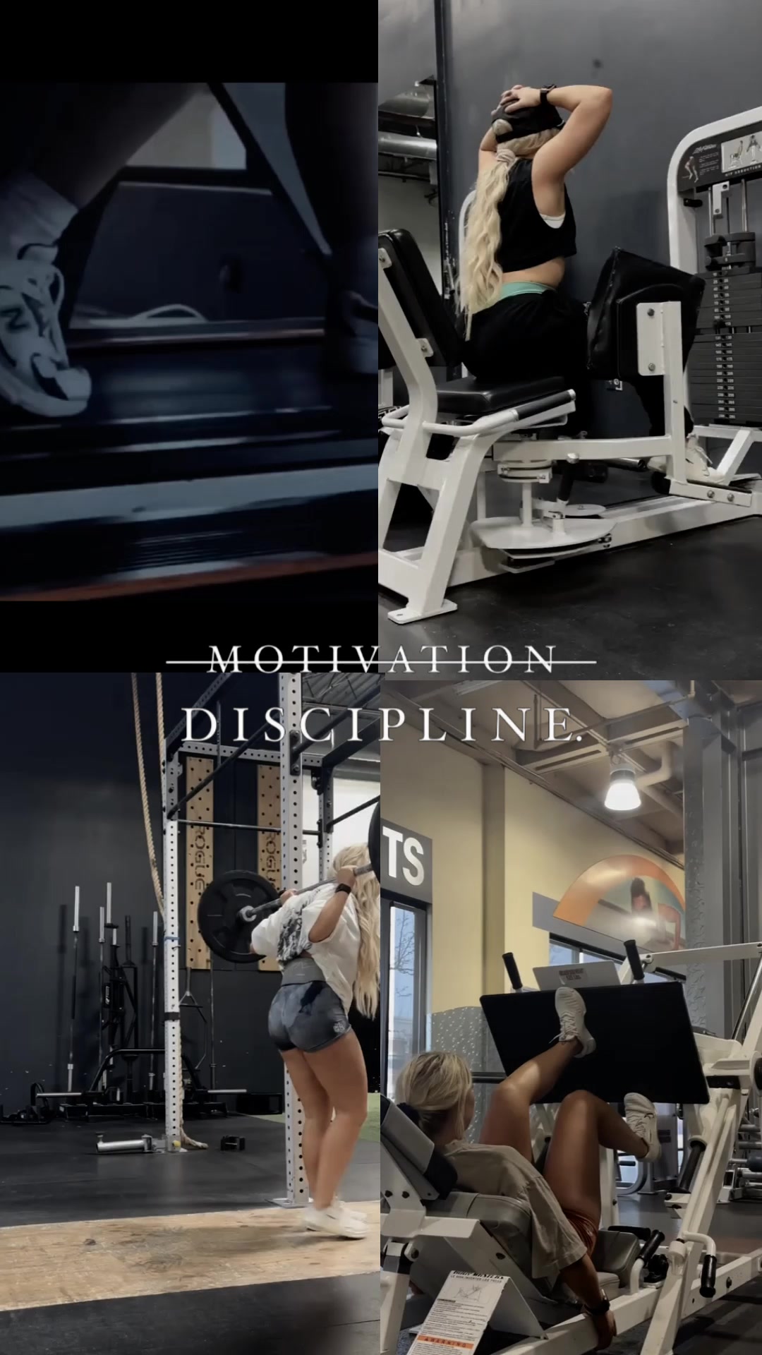 @🥇ledifitlife🥇