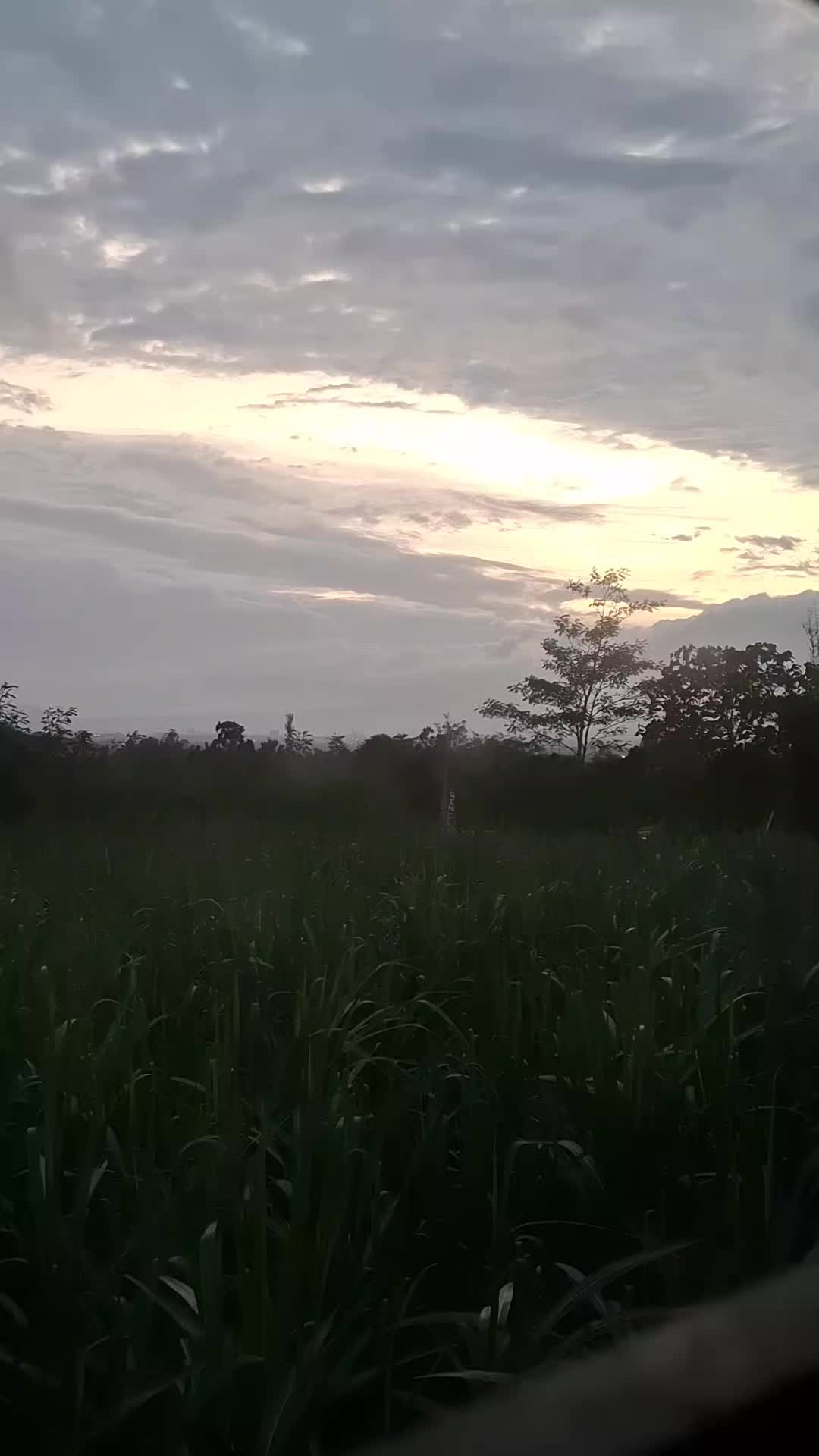 @ayulesta308