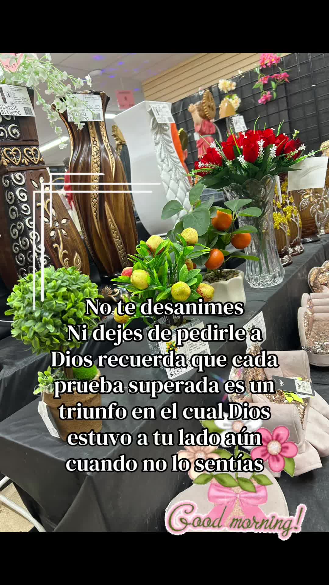 @lucycachiguango