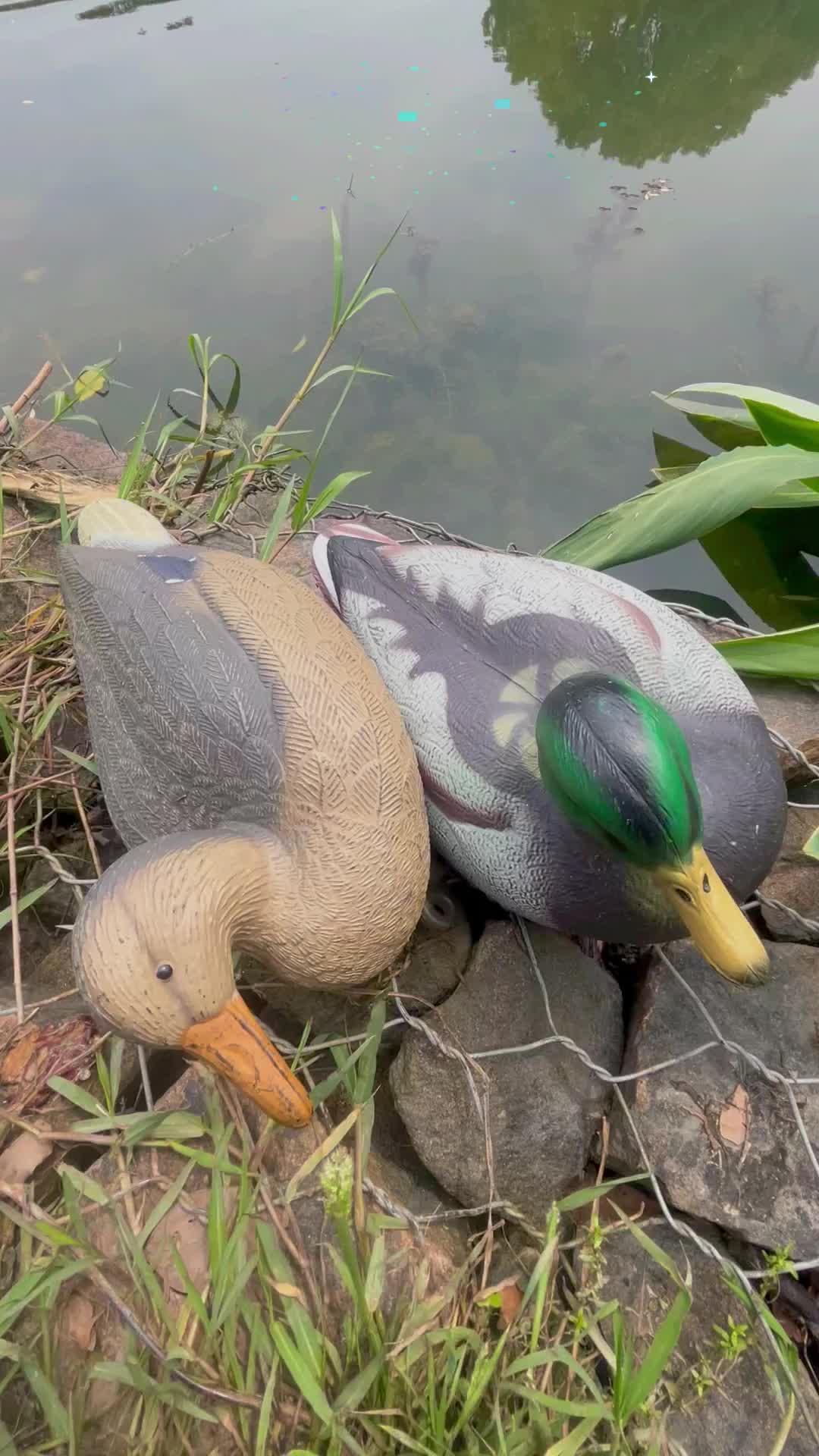 @dddeerhunt