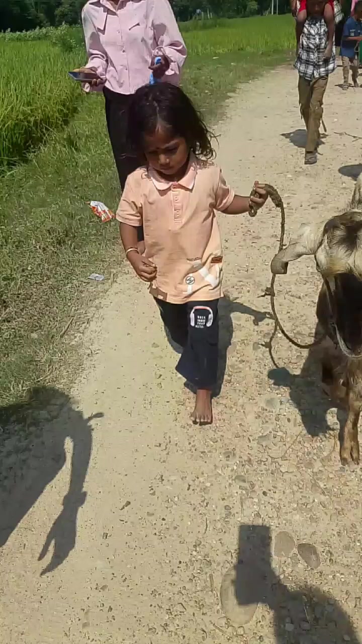 @Prabhash Raut