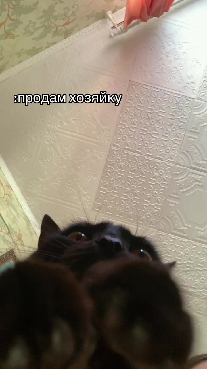 @𝒮𝒶𝓂𝒾𝓀