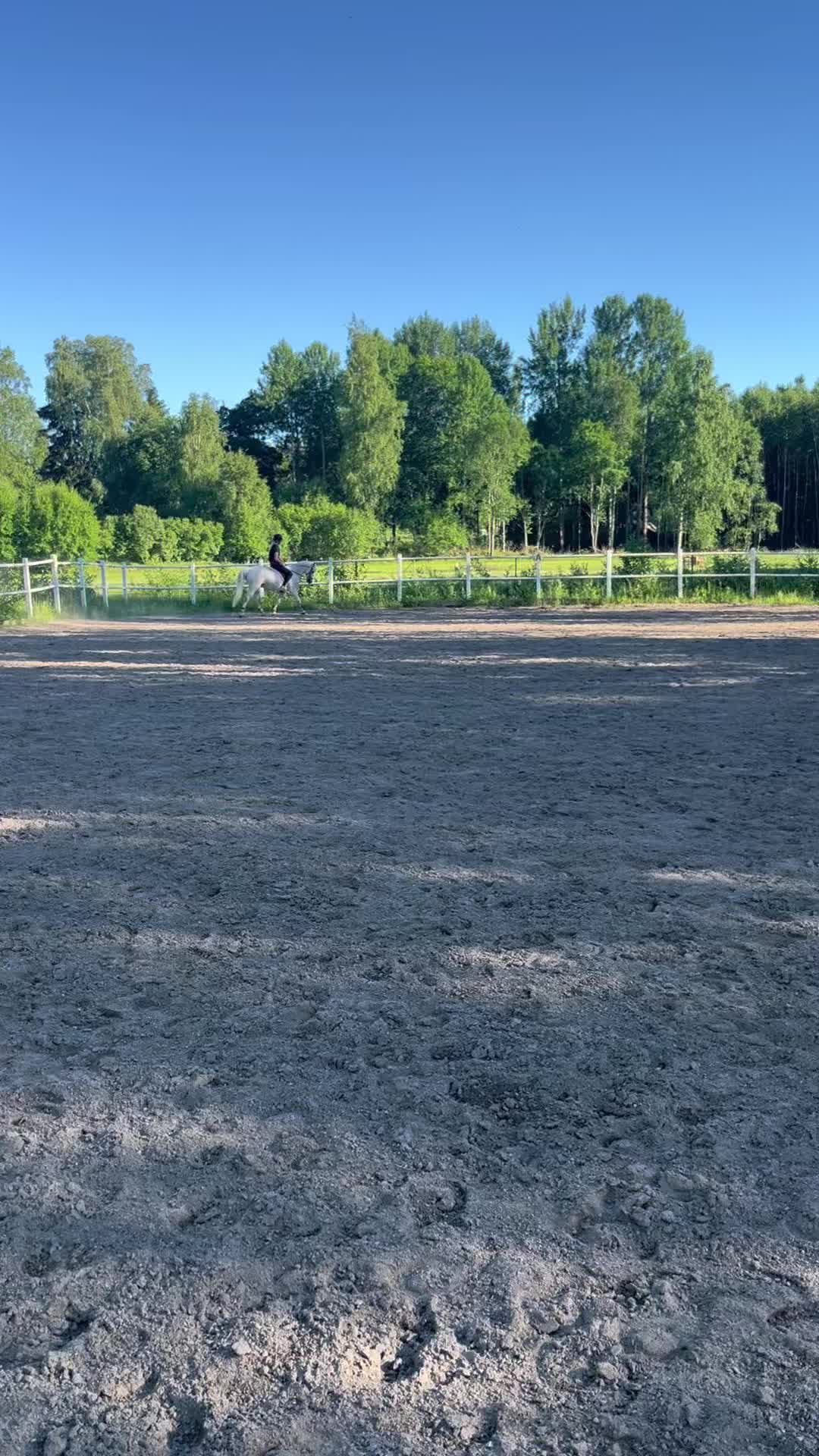 @Ella Grinde🇸🇪