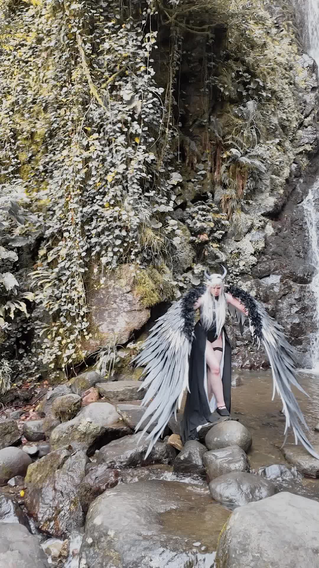 @Angels_PawPrint