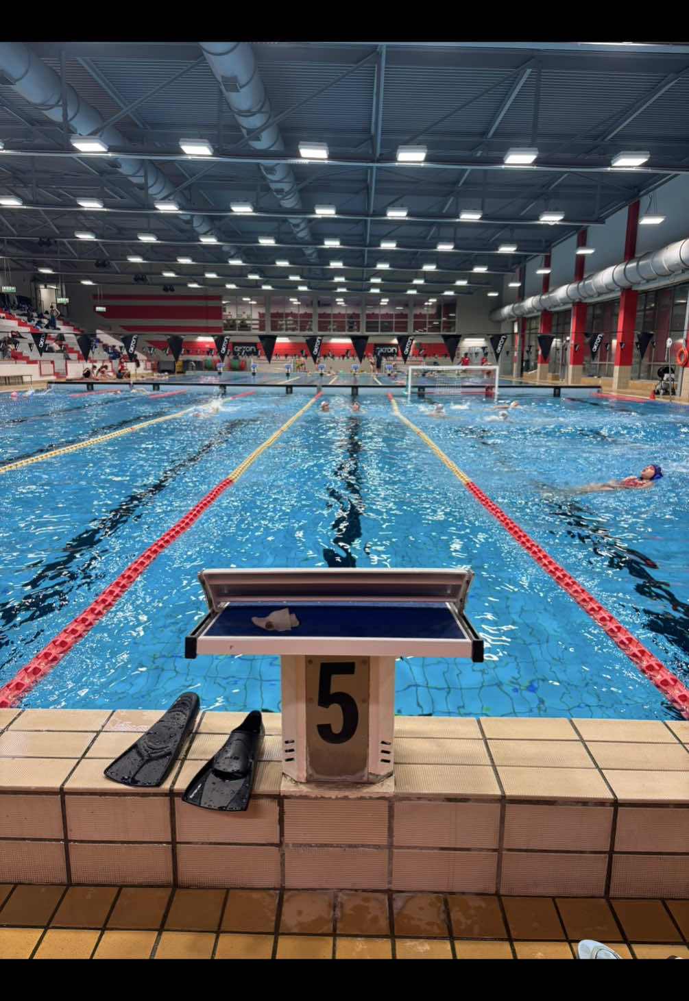 @calde nere🔝🐬🏊🏻&zwj;♀️