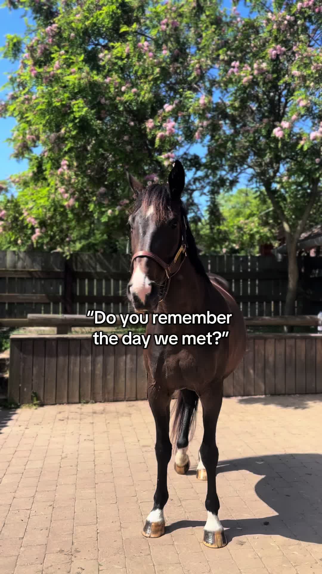 @JustRide