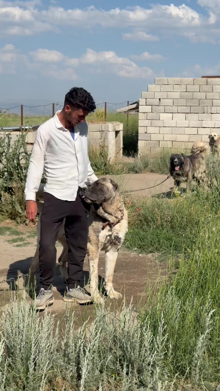 @Yusuf saldık