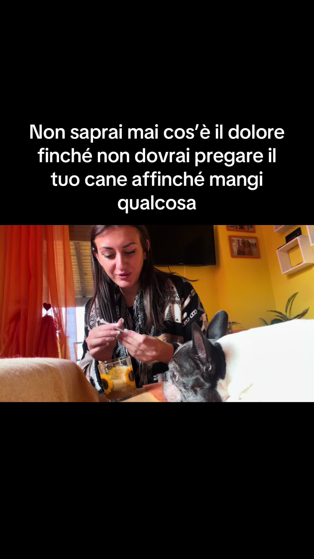 @GINEVRA