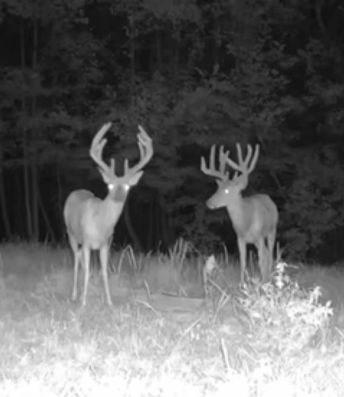 @Ridge Rock Hunt Company