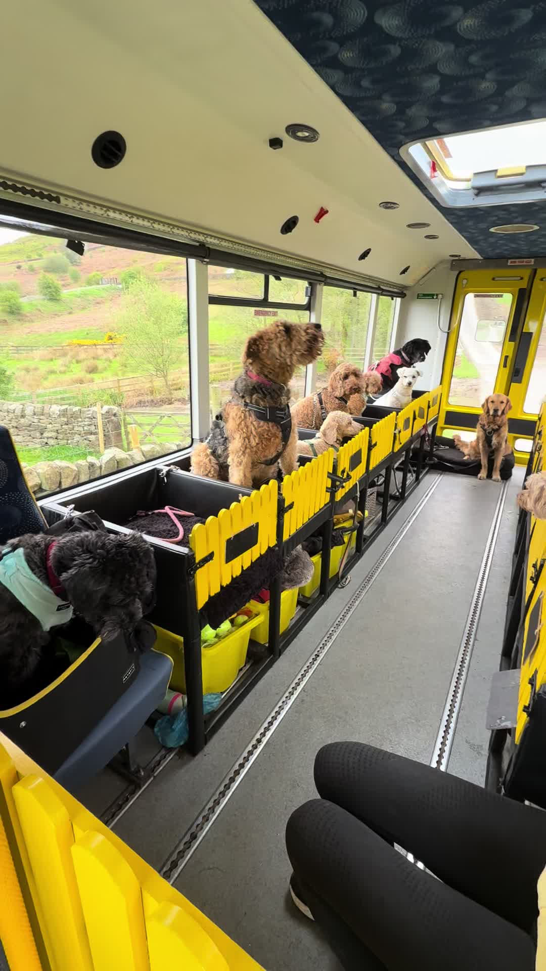 @Billy&rsquo;s Bus
