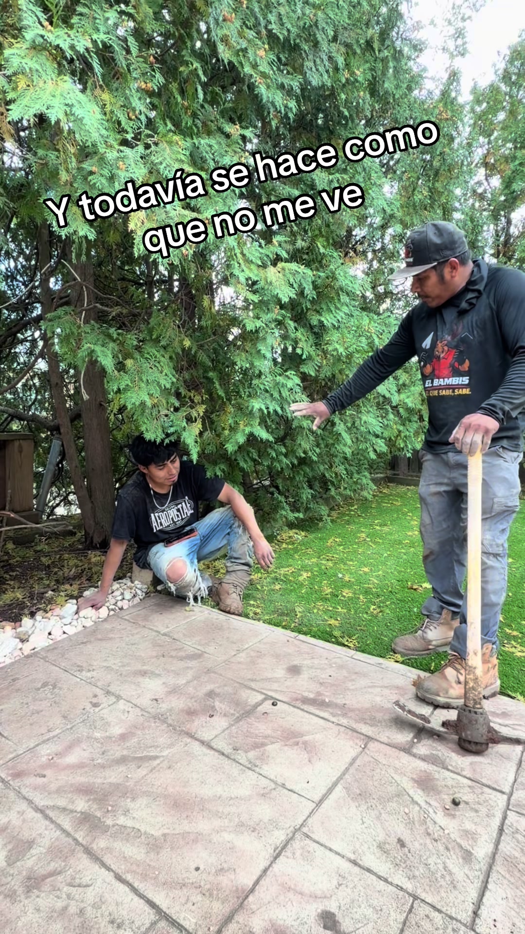 @elbambis1oficial