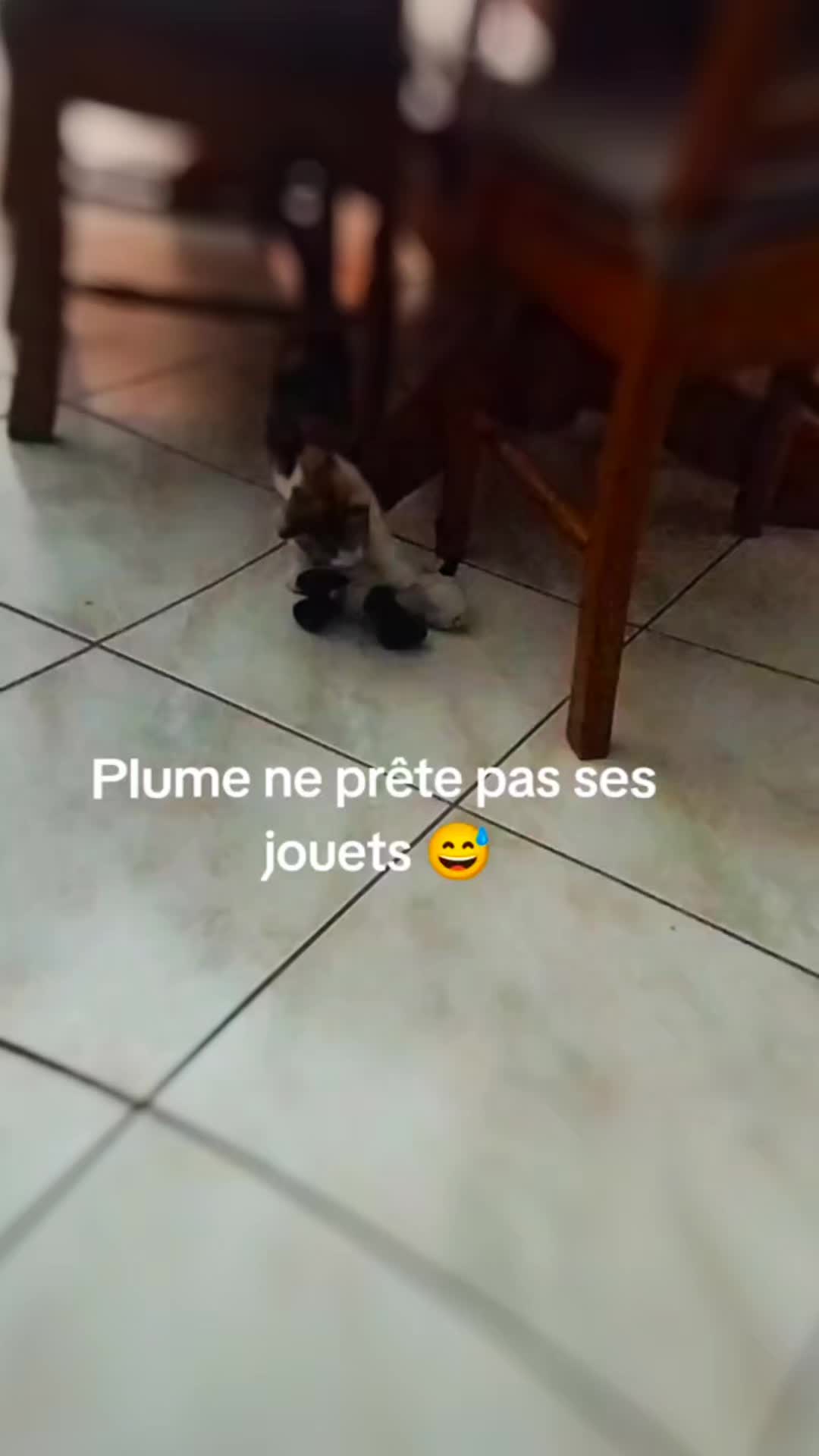 @Martine