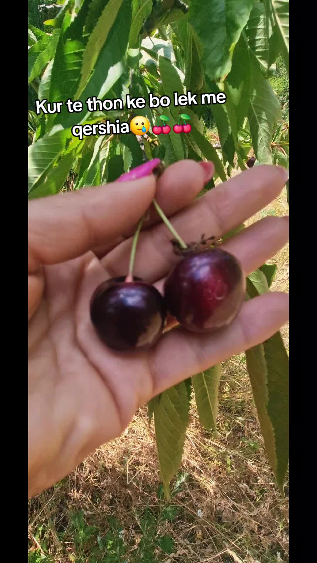 @Gena Qershia36๐๐