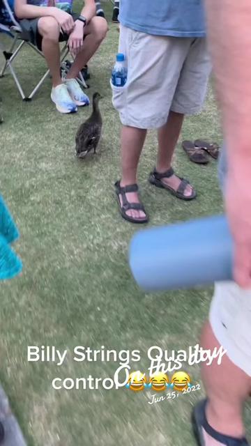 @jambanddaddio