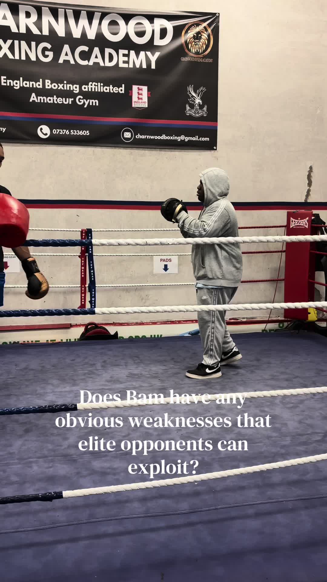 @Anton🦍