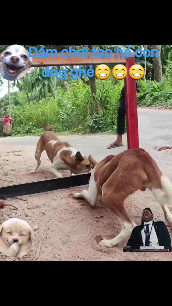 @Sơn_37🇻🇳💝🇻🇳💝🇻🇳