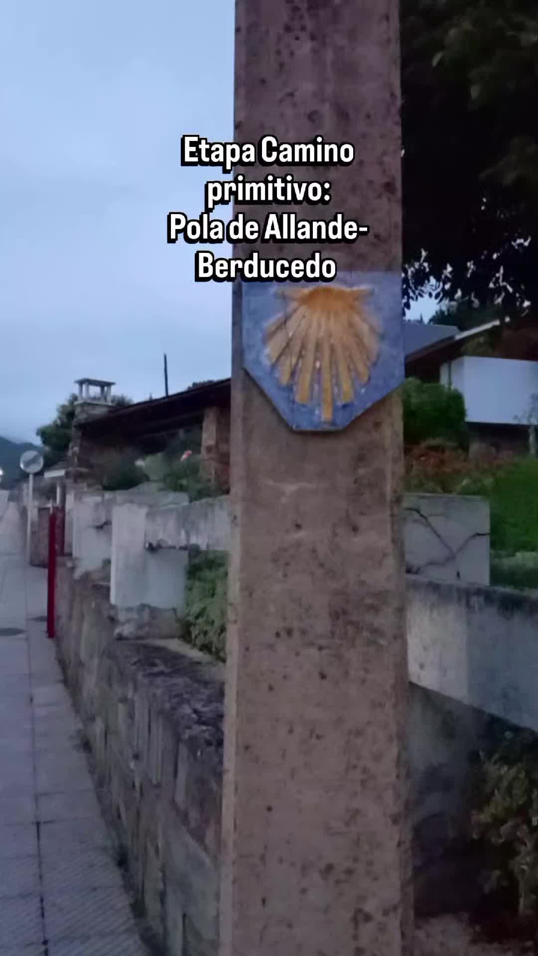 @CAMINOQ+