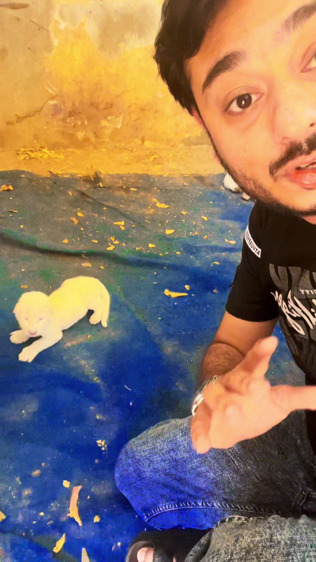 @jimmy_junaid_zoologist