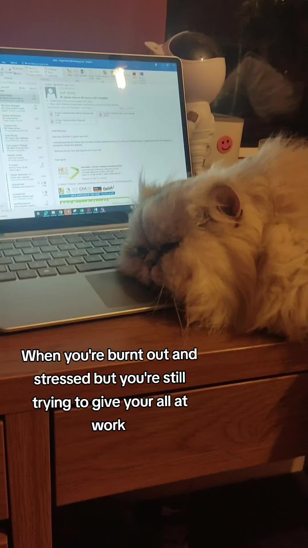 @Hi Simbi & Gizmo