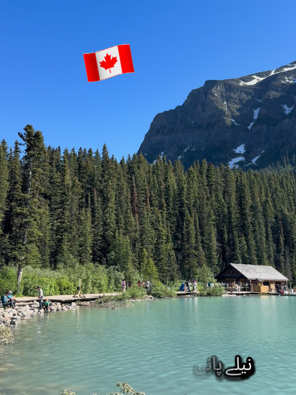 @Sher khan🇨🇦🥀