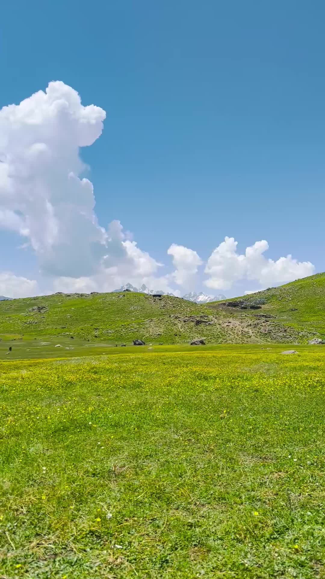 @Swat Valley