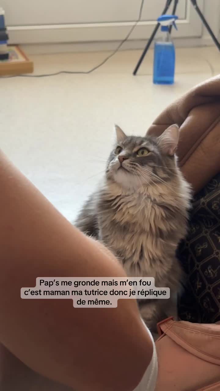 @Had&egrave;s & Zeus 🐱⚡️